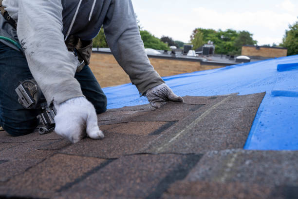 Roof Gutter Cleaning in Clairton, PA